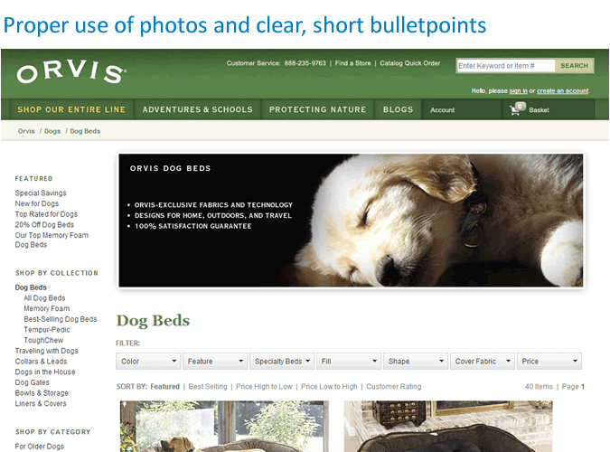 Landing page example: Orvis