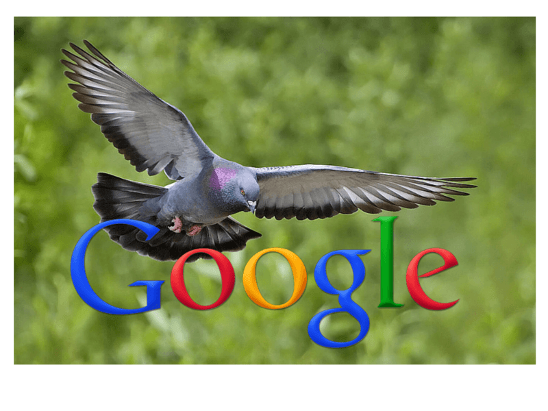 Google Pigeon: What you need to know