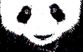 Google Panda: super closeup