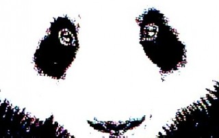 Google Panda: close up (monochrome)