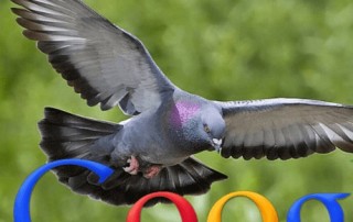 Google Pigeon Algorithm