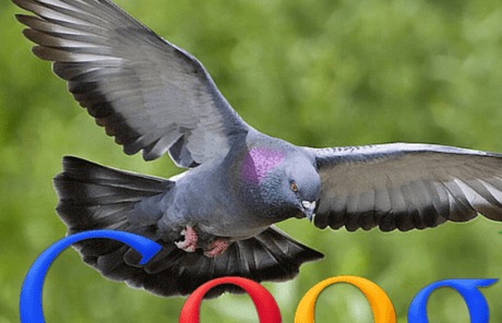 Google Pigeon Algorithm