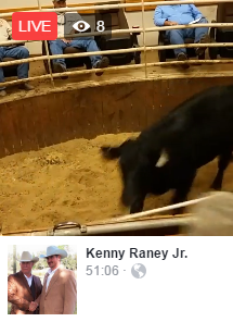 Kenny Raney Jr. video stream on Facebook Live Video, 11/7/2016