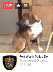 Fort Worth Police Department live video stream on Facebook Live Video, 11/7/2016
